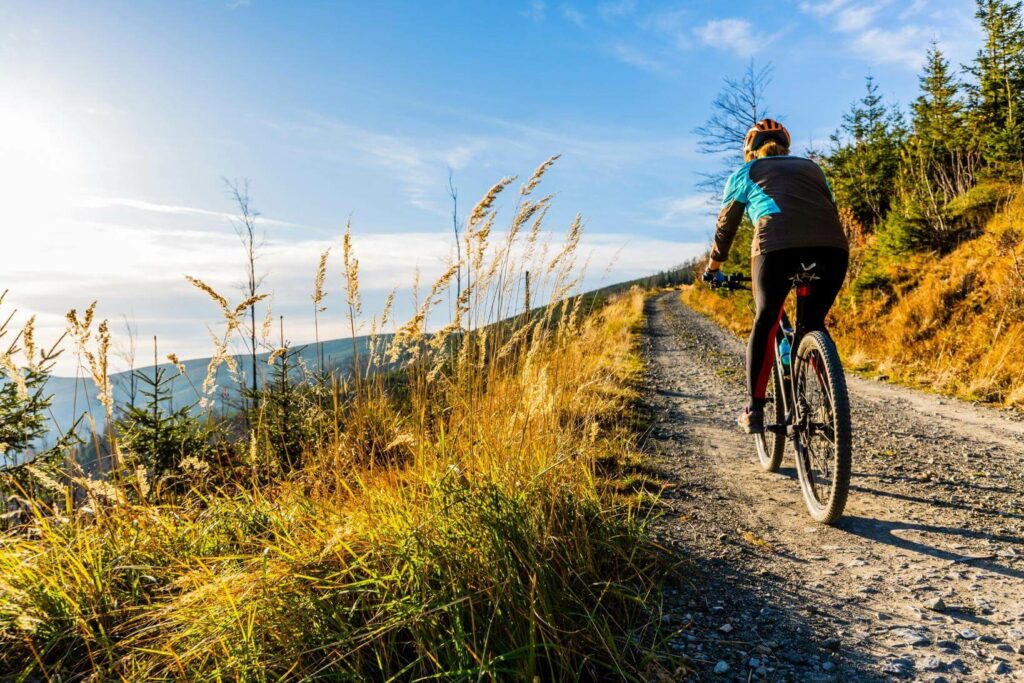 Bewegung und Gefässgesundheit